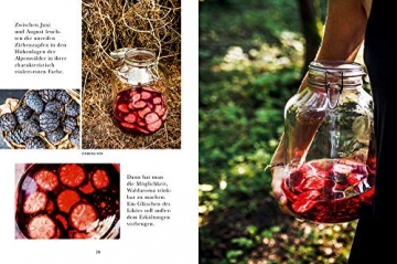 Das Wald-Kochbuch: sammeln - erleben - entdecken - genießen - 10