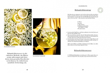 Das Wald-Kochbuch: sammeln - erleben - entdecken - genießen - 3