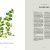 Das Wald-Kochbuch: sammeln - erleben - entdecken - genießen - 6