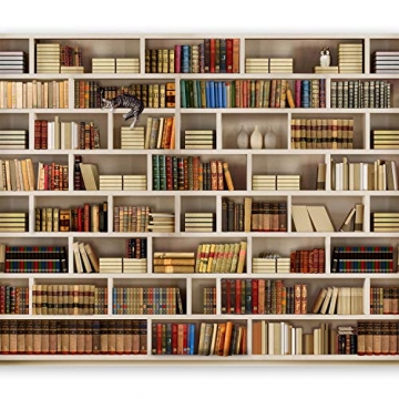 murando Fototapete Bibliothek 250x175 cm Vlies Tapeten Wandtapete XXL Moderne Wanddeko Design Wand Dekoration Wohnzimmer Schlafzimmer Büro Flur Buch Bücher 10110905-29 - 1
