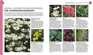 So geht Garten: Die Basics für Einsteiger - 5