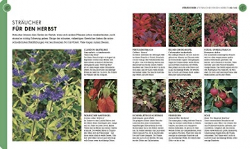 So geht Garten: Die Basics für Einsteiger - 7