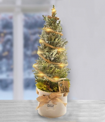 Weihnachtsbaum dekoriert im Keramik-Übertopf mit LED-Lichterkette